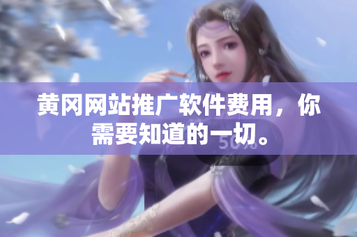 黄冈网站推广软件费用，你需要知道的一切。