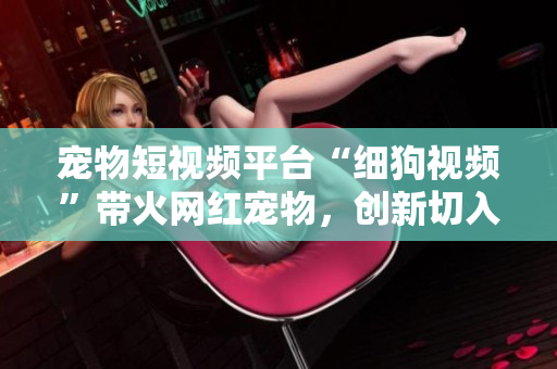 宠物短视频平台“细狗视频”带火网红宠物，创新切入“宠物经济”