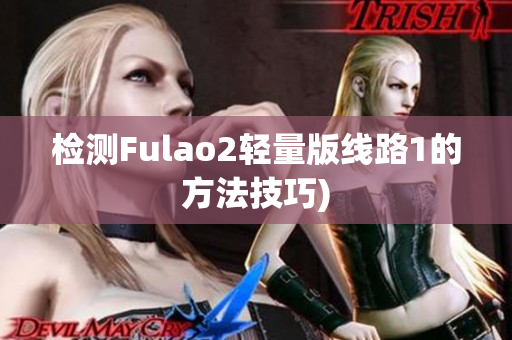 检测Fulao2轻量版线路1的方法技巧)