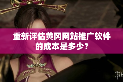 重新评估黄冈网站推广软件的成本是多少？
