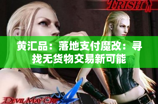 黄汇品：落地支付魔改：寻找无货物交易新可能