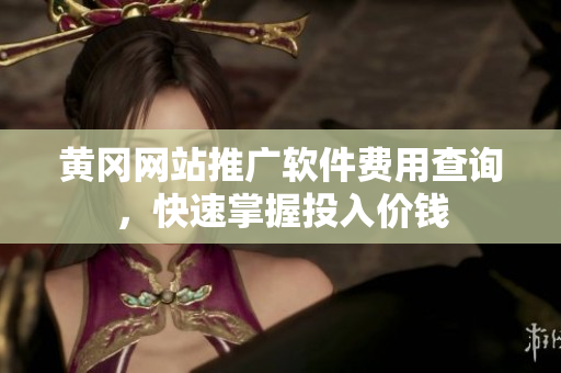 黄冈网站推广软件费用查询，快速掌握投入价钱
