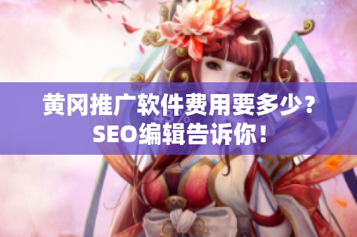 黄冈推广软件费用要多少？SEO编辑告诉你！