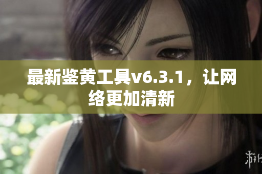 最新鉴黄工具v6.3.1，让网络更加清新