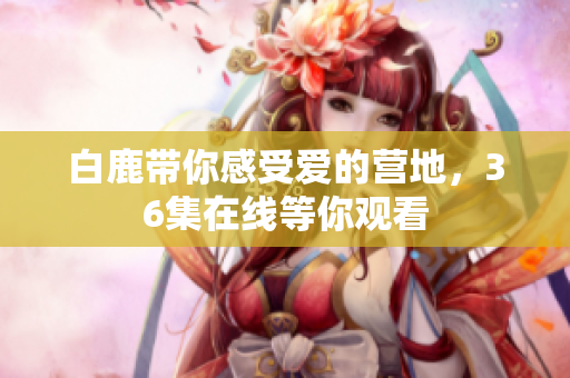 白鹿带你感受爱的营地，36集在线等你观看