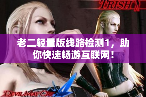老二轻量版线路检测1，助你快速畅游互联网！