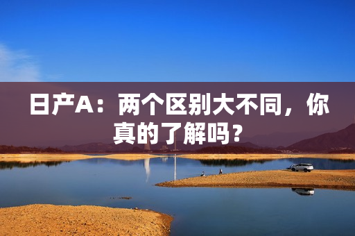 日产A：两个区别大不同，你真的了解吗？