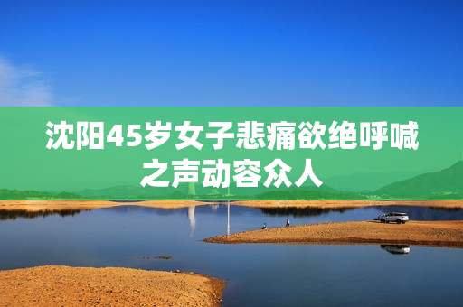 沈阳45岁女子悲痛欲绝呼喊之声动容众人