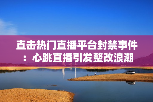 直击热门直播平台封禁事件：心跳直播引发整改浪潮