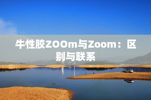 牛性胶ZOOm与Zoom：区别与联系