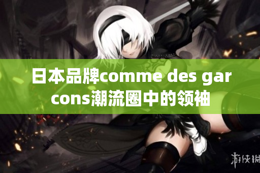 日本品牌comme des garcons潮流圈中的领袖