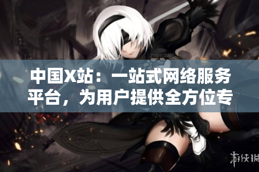 中国X站：一站式网络服务平台，为用户提供全方位专业服务。