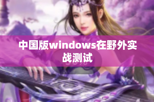 中国版windows在野外实战测试