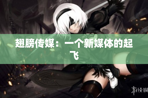 翅膀传媒：一个新媒体的起飞