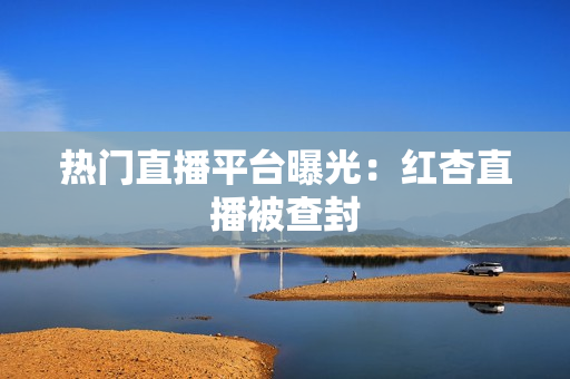 热门直播平台曝光：红杏直播被查封