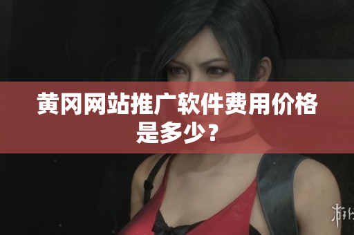 黄冈网站推广软件费用价格是多少？