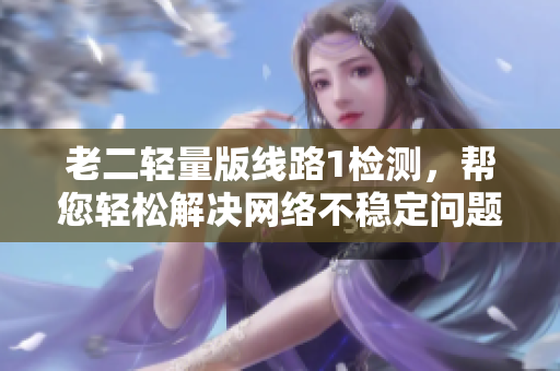 老二轻量版线路1检测，帮您轻松解决网络不稳定问题！