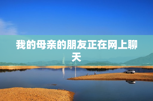我的母亲的朋友正在网上聊天