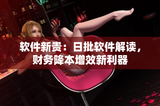 软件新贵：日批软件解读，财务降本增效新利器
