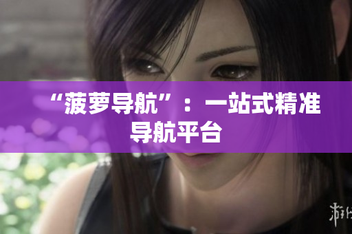 “菠萝导航”：一站式精准导航平台