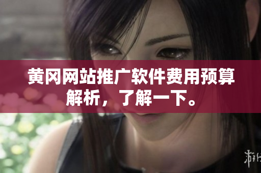 黄冈网站推广软件费用预算解析，了解一下。