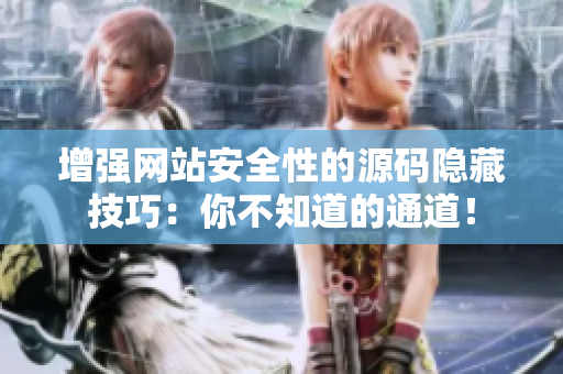增强网站安全性的源码隐藏技巧：你不知道的通道！