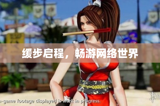 缓步启程，畅游网络世界