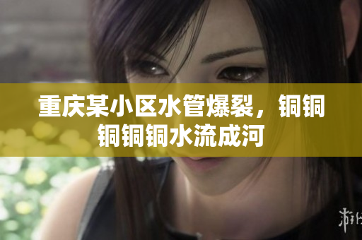 重庆某小区水管爆裂，铜铜铜铜铜水流成河
