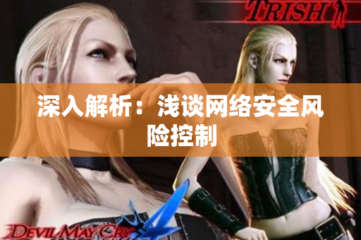 深入解析：浅谈网络安全风险控制