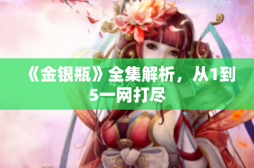 《金银瓶》全集解析，从1到5一网打尽