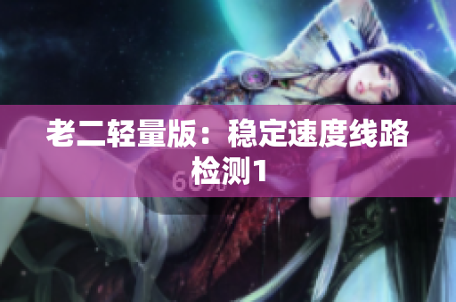 老二轻量版：稳定速度线路检测1
