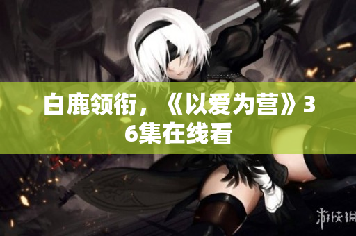 白鹿领衔，《以爱为营》36集在线看