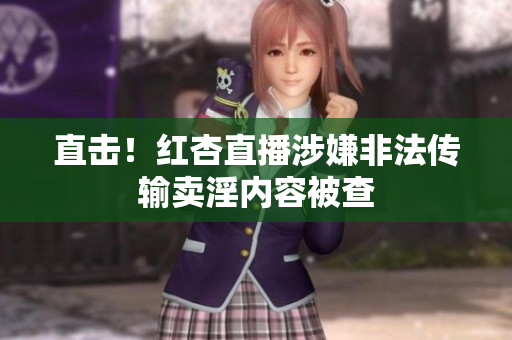 直击！红杏直播涉嫌非法传输卖淫内容被查