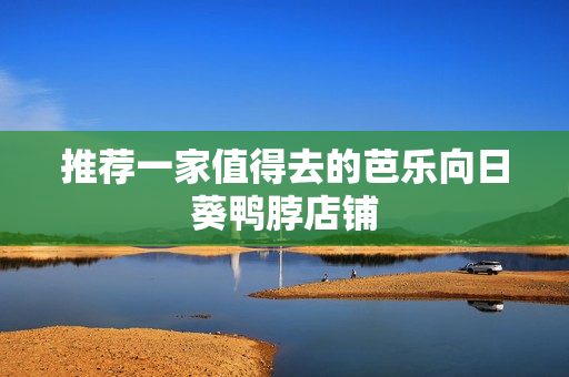 推荐一家值得去的芭乐向日葵鸭脖店铺