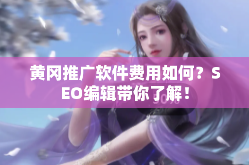 黄冈推广软件费用如何？SEO编辑带你了解！