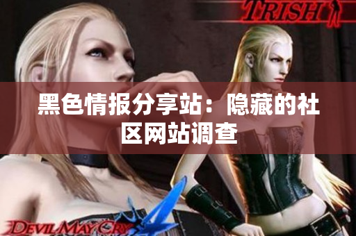 黑色情报分享站：隐藏的社区网站调查