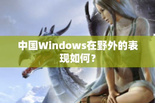 中国Windows在野外的表现如何？