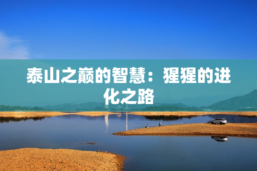 泰山之巅的智慧：猩猩的进化之路