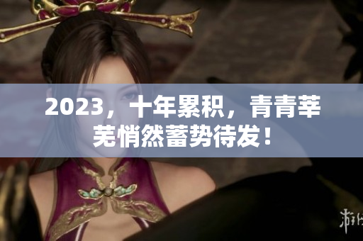 2023，十年累积，青青莘芜悄然蓄势待发！