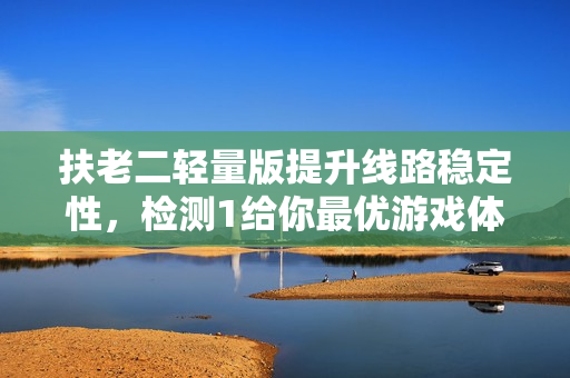 扶老二轻量版提升线路稳定性，检测1给你最优游戏体验！