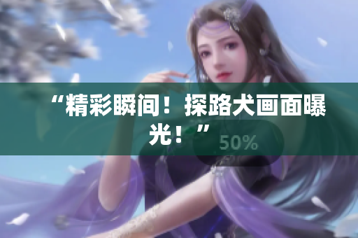“精彩瞬间！探路犬画面曝光！”