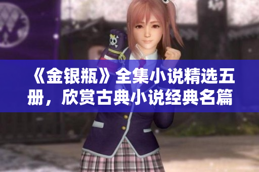 《金银瓶》全集小说精选五册，欣赏古典小说经典名篇