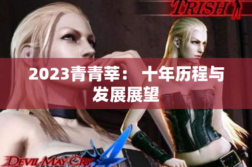 2023青青莘： 十年历程与发展展望