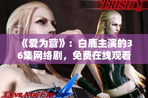 《爱为营》：白鹿主演的36集网络剧，免费在线观看