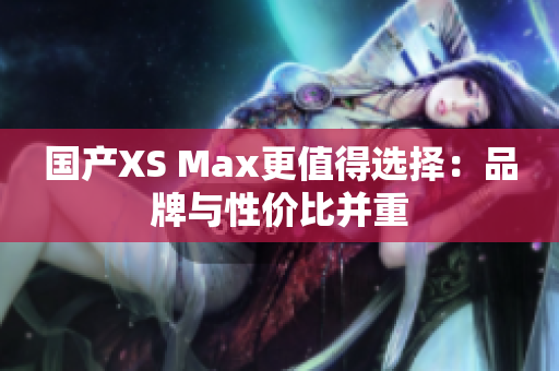 国产XS Max更值得选择：品牌与性价比并重