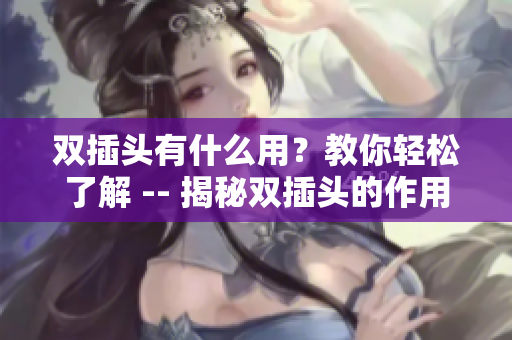 双插头有什么用？教你轻松了解 -- 揭秘双插头的作用，轻松了解使用方法
