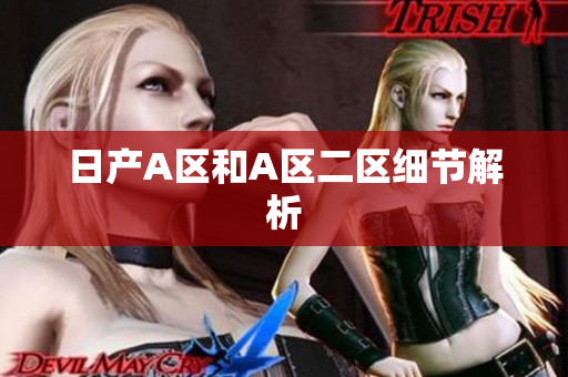 日产A区和A区二区细节解析