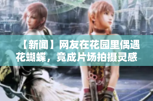 【新闻】网友在花园里偶遇花蝴蝶，竟成片场拍摄灵感