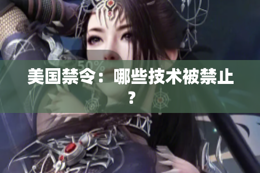 美国禁令：哪些技术被禁止？