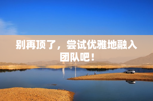 别再顶了，尝试优雅地融入团队吧！